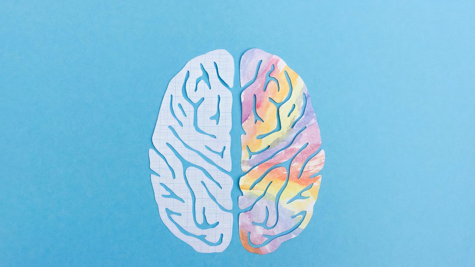 Поражение левого полушария мозга. Рисование правым полушарием мозга. Функциональная асимметрия полушарий мозга. Картинка правого полушария для детей. Игра для развития мозга по цветам.
